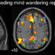 Illustration for article titled The Right Way and Wrong Way to Let Your Mind Wander